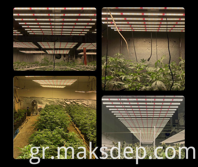 Garden Grow Light